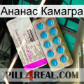 Ананас Камагра new07